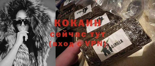 индика Алзамай