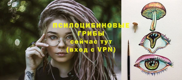 индика Алзамай